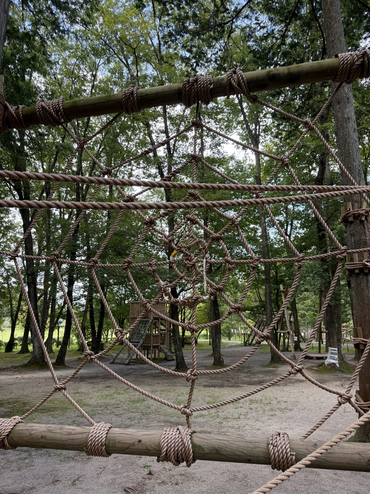 日光だいや川公園の現地写真3