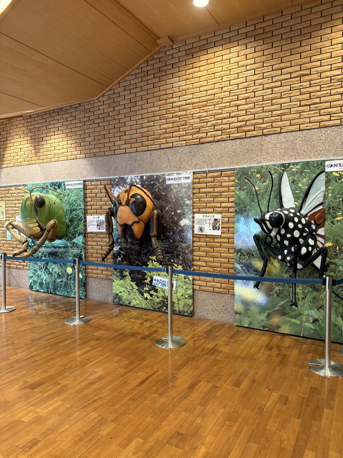 栃木県立日光自然博物館の現地写真3