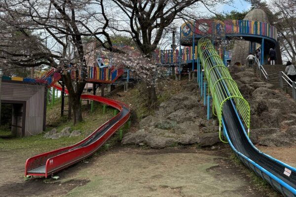 八幡山公園