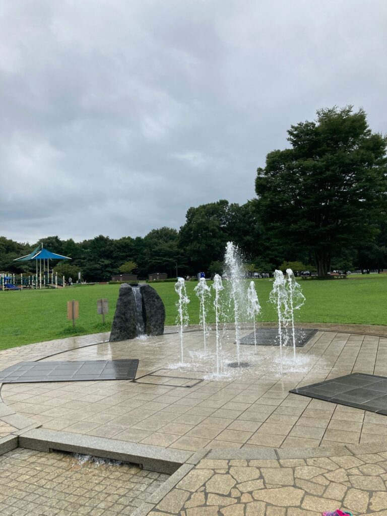 みずほの自然の森公園の現地写真