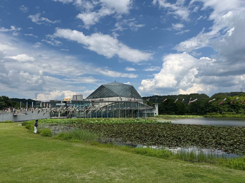 なかがわ水遊園周辺の芝生広場の現地写真