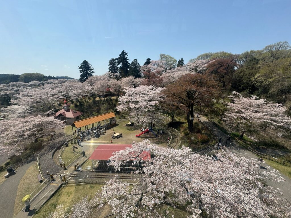 千手山公園
