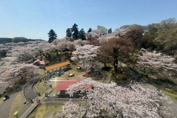 千手山公園