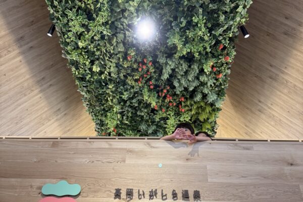 真岡いがしら温泉 おふろcafe いちごの湯