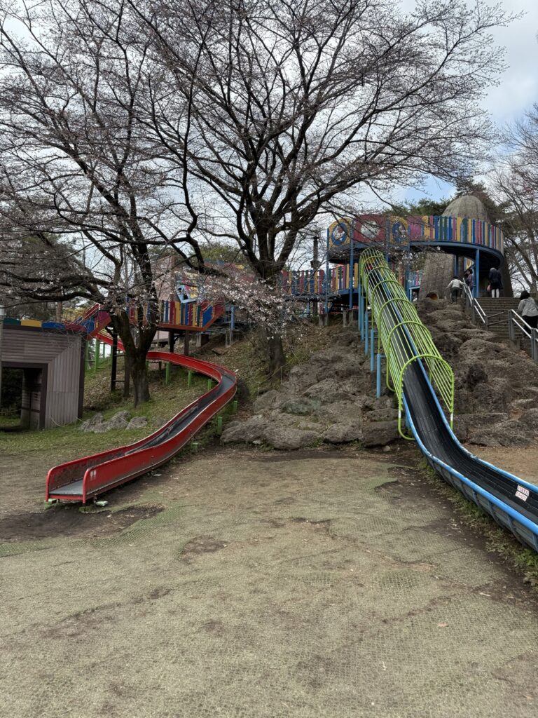 八幡山公園の現地写真