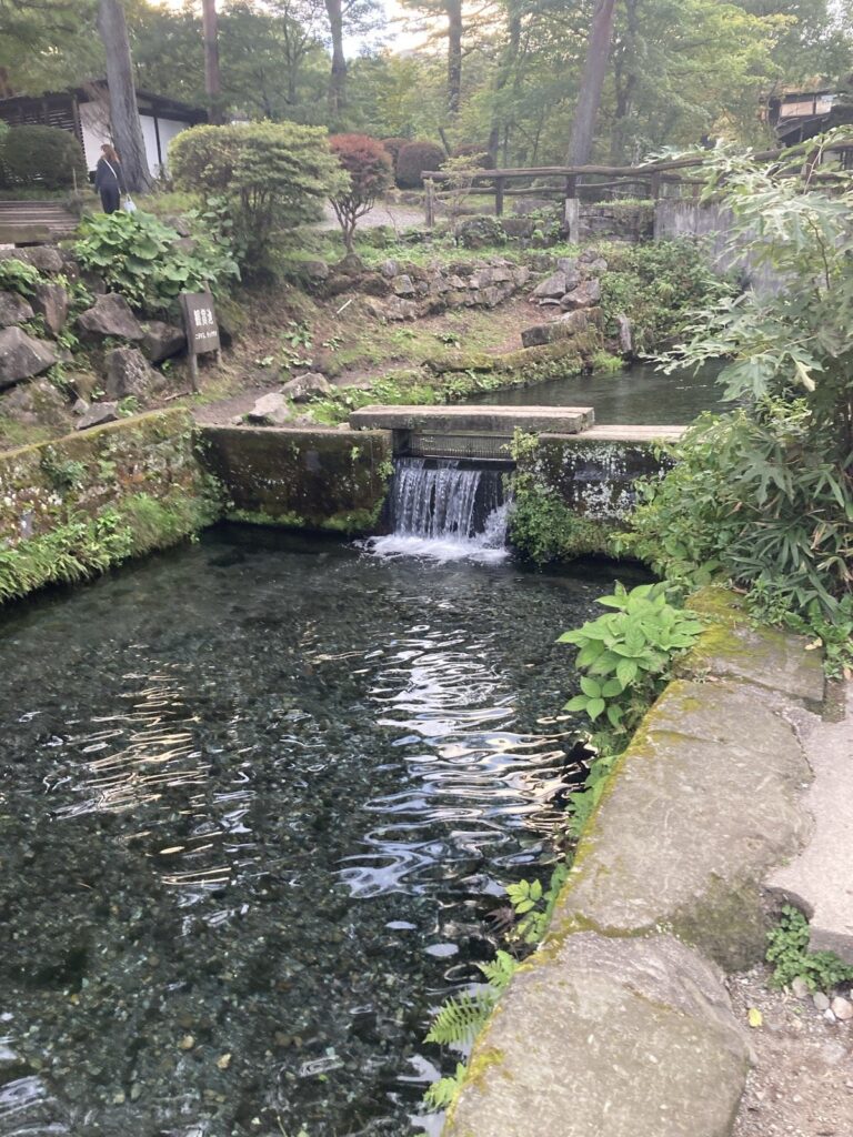 那須高原 南ヶ丘牧場の現地写真