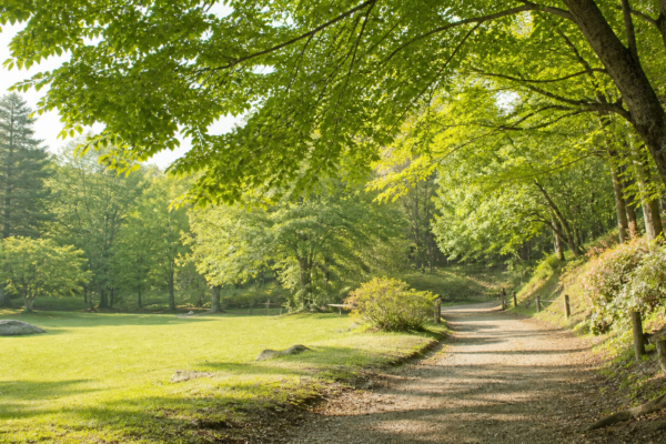 根古屋森林公園