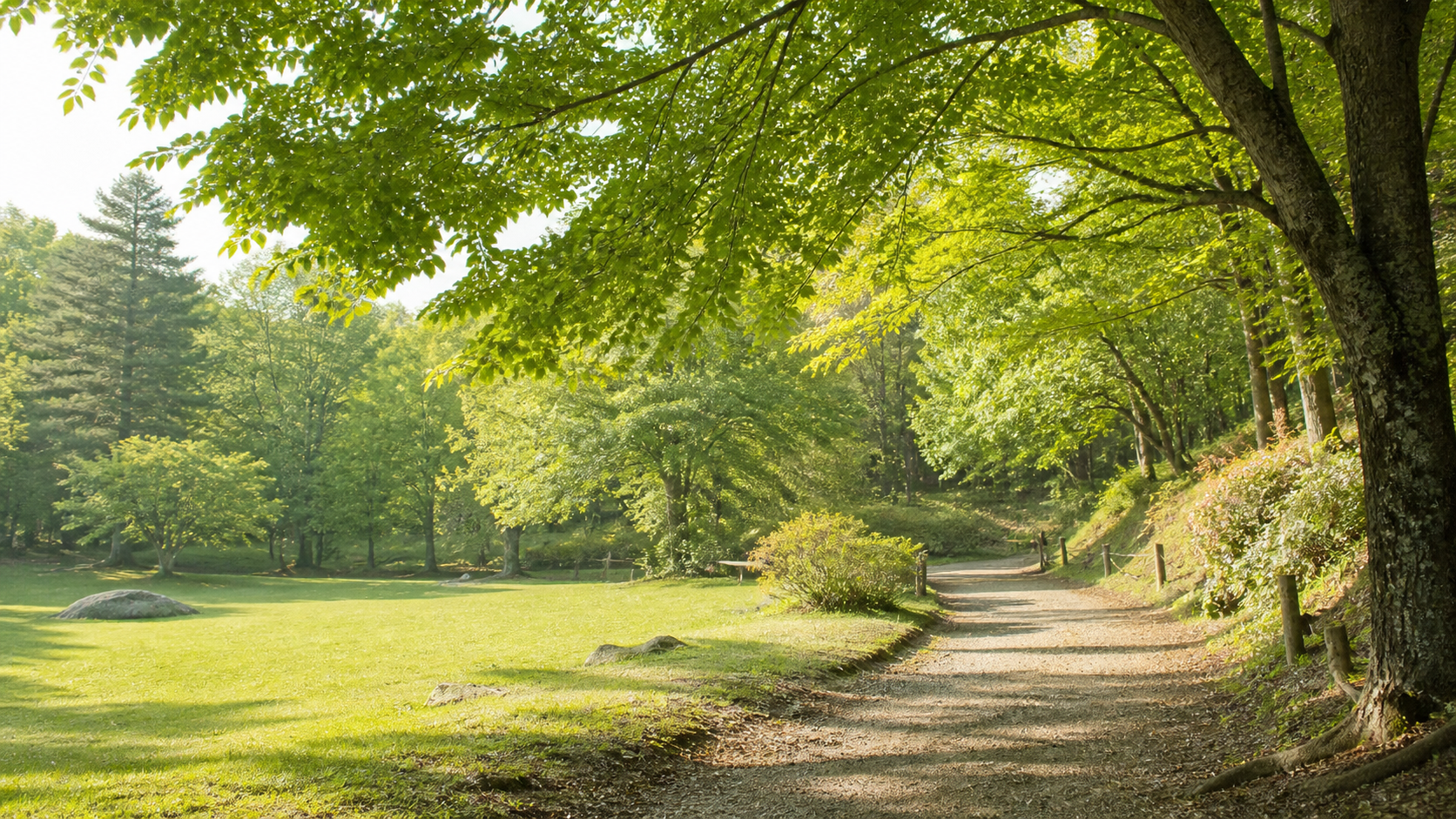 根古屋森林公園