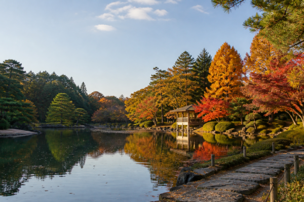 栃木県中央公園