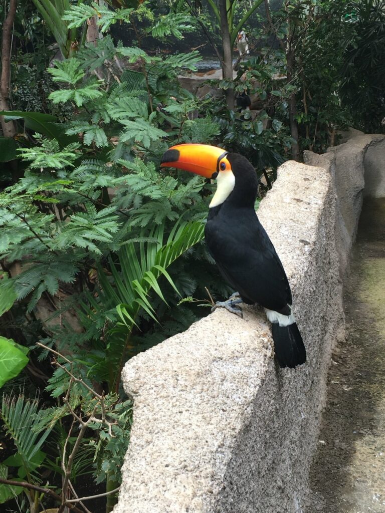 那須どうぶつ王国の現地写真
