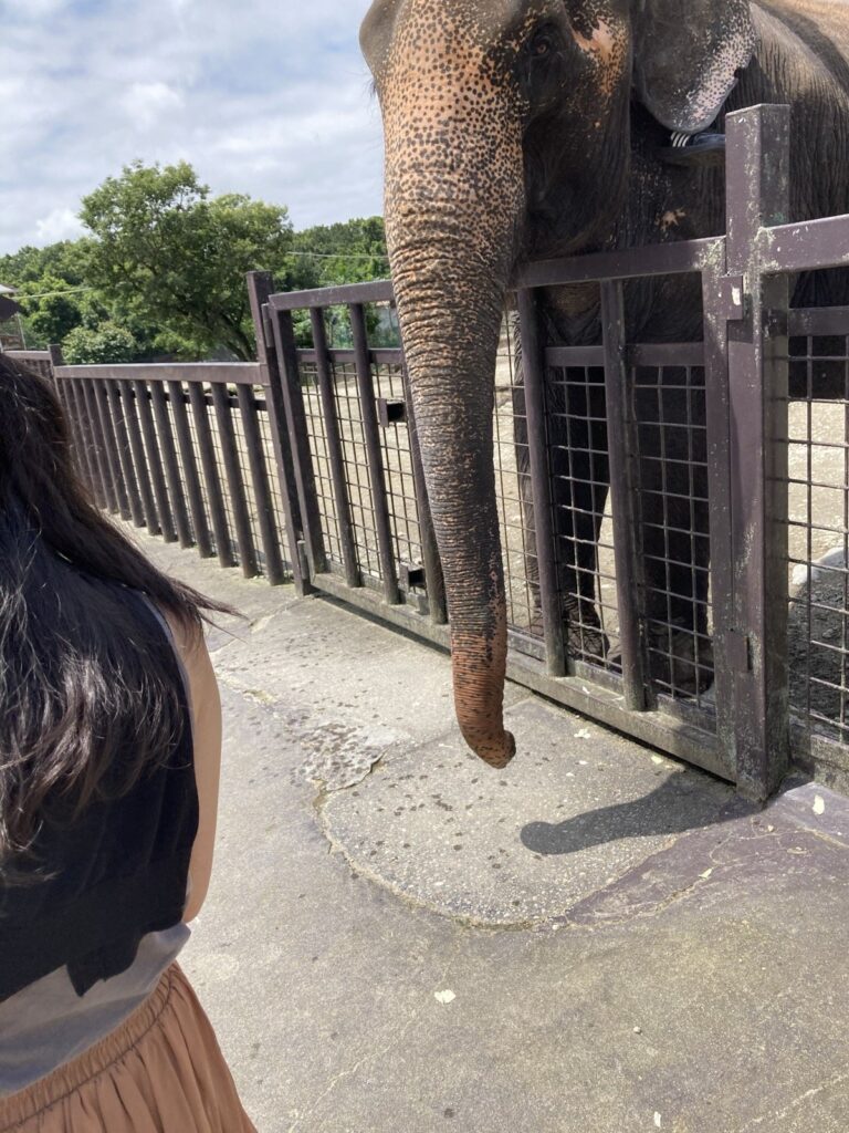 那須サファリパークの現地写真