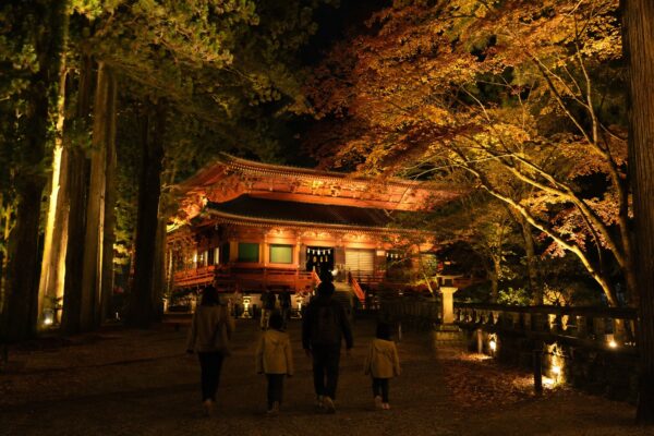 ライトアップNIKKO 2026