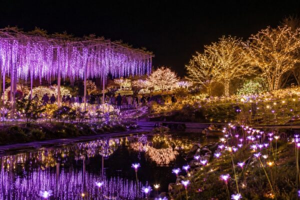 あしかがフラワーパーク 「光の花の庭～フラワーファンタジー2026～」