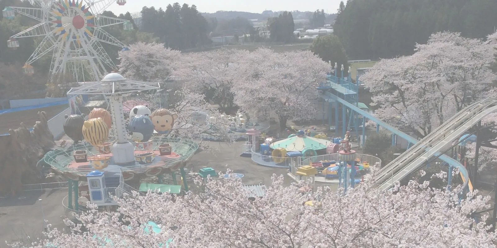 宇都宮動物園