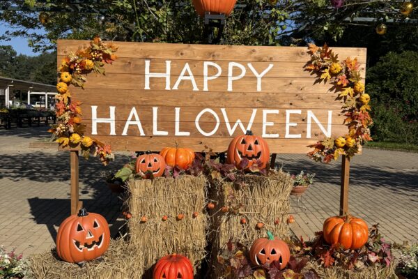 あしかがフラワーパークのハロウィン2026