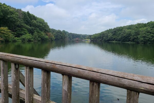 井頭公園