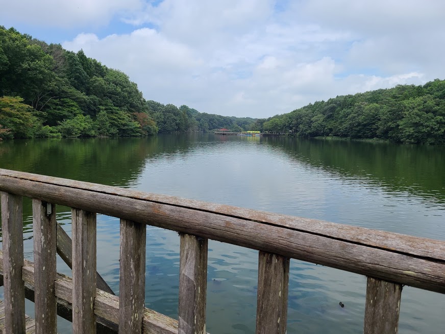 井頭公園