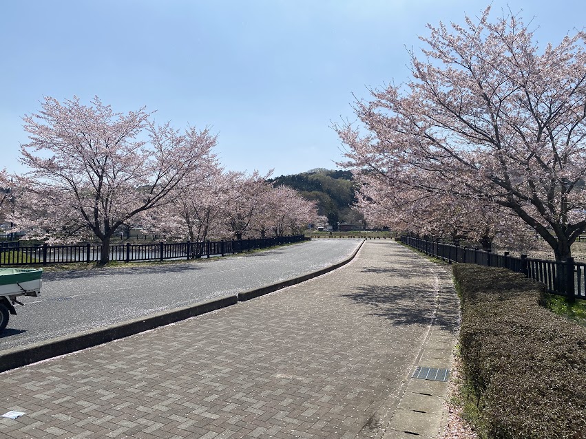 永野川緑地公園（公式サイトの画像2）