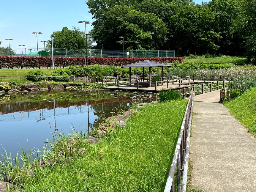 大平運動公園（公式サイトの画像2）